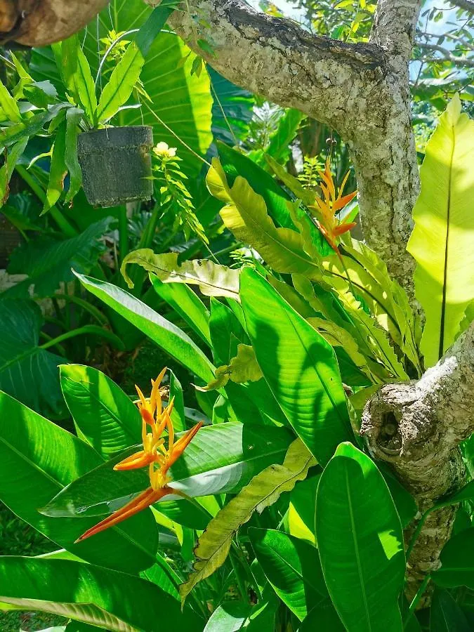 Artoria Dream Villas Bali Nusa Dua  Indonésie